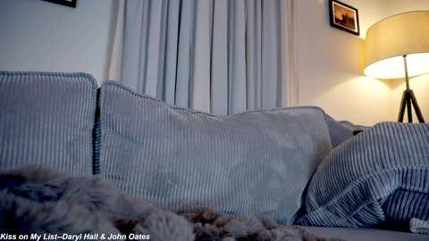 Media: Video of a cozy living room with a gray-striped couch, fluffy throw, and a beige lampshade, soft blue curtains, and framed pictures on a white wall.