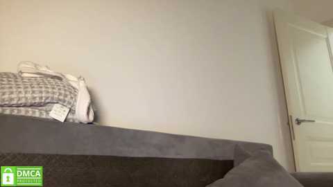 Media: A video of a bed with a grey quilt, a white pillow, and a grey blanket against a beige wall. A white door is partially open to the right. The image includes a \"DMAA\" logo in the lower left corner.