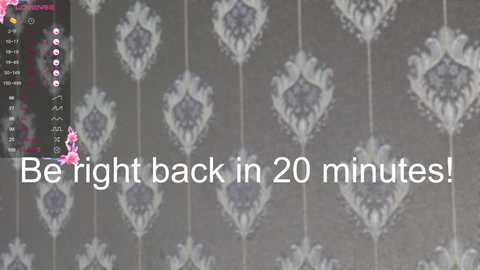 Media: A video of a gray wallpaper with white diamond patterns and pink floral accents. Text overlays, \"Be right back in 20 minutes!\" in white, center-left.