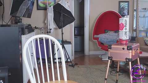 Media: Video of a cozy, cluttered living room with a white wooden chair, a red egg chair, a metal desk, and a silver lamp; a white studio light stands on the floor.