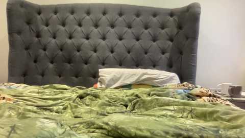 Media: Video of a messy bedroom with a tufted, gray upholstered headboard, green bedspread, and disheveled bedding; a white pillow and a white cup on a nightstand.