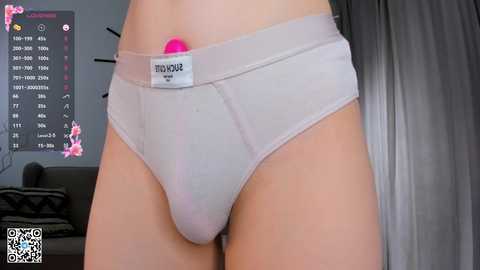 Media: Video of a person wearing grey boxer briefs with a pink vibrator attached to the waistband, showing light skin. Background includes a calendar and a grey curtain.