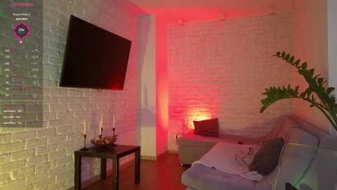 Media: Video of a modern, dimly-lit living room with a white brick wall, red accent lighting, a flat-screen TV, a glass coffee table, and a grey sofa with a green plant in the corner.