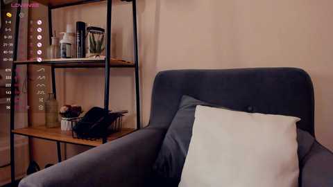 Media: Video of a minimalist living room with a gray armchair, a white pillow, and a wooden shelf with various items including a blender, a water bottle, and a green plant.