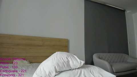 Media: Video of a minimalist bedroom with a wooden headboard, white bedding, a gray upholstered armchair, and a large gray roller shade covering a window. Text reads \"Puse 193, Eamonn Quake 2211, Fireworks 3211.\