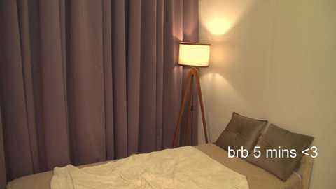 Media: Video of a modern bedroom with beige walls, a bed with beige sheets, two brown pillows, and a tall, wooden tripod floor lamp with a white lampshade, next to a large, dark purple curtain.