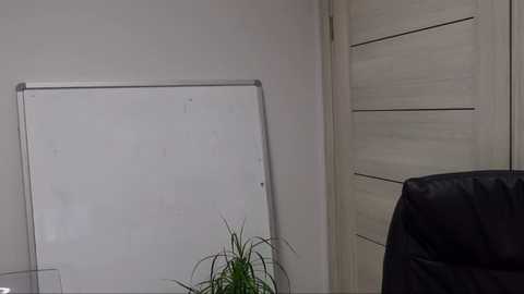 Media: Video of a minimalist office with a white dry-erase board propped against a light beige wall, a green plant on a desk, and a black leather office chair.