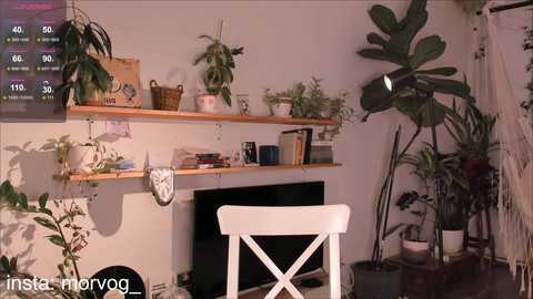 Media: Video of a cozy, plant-filled room with wooden shelves, potted plants, a white chair, a TV, and a screen displaying 40\u00b0, 50% humidity.