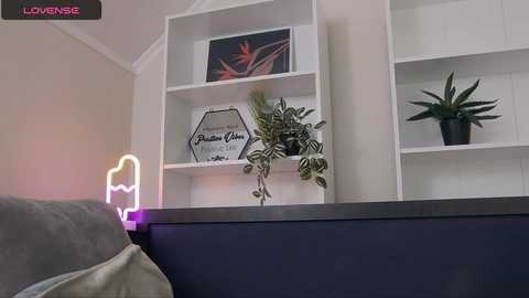 Media: Video of a modern bedroom with white built-in shelves displaying green plants, a black succulent, and a framed abstract painting. A neon \"LOVENSE\" sign hangs in the corner, and a gray bed is partially visible.