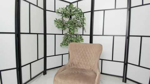 Media: Video of a beige, tufted armchair with a green plant in a white and black folding screen room, minimalist decor.