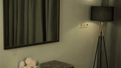 Media: Video of a minimalist interior: a beige wall with a large, framed mirror, a black floor lamp with a cylindrical black shade, and a small, gray table holding soft pink flowers.