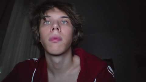 Media: Video of a young, pale-skinned male with tousled brown hair, blue eyes, and a red hoodie. He appears startled or surprised, set against a dimly lit, dark background.