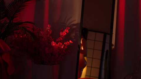 Media: Video of a dimly lit room with a large, dark-framed mirror reflecting a person in a yellow shirt, partially obscured by a red plant and a white vase.