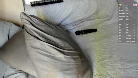 Media: A video shows a person lying on a bed with a black vibrator beside them, covered by a grey quilted blanket. A remote control and a smartphone are visible on the pillow.