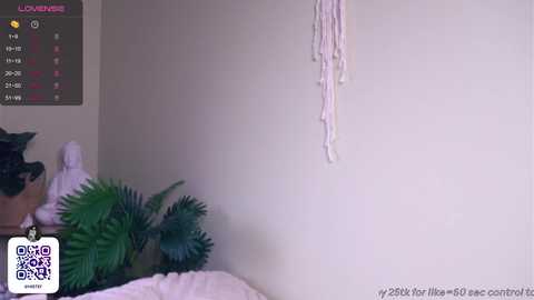 Media: Video of a minimalist bedroom with a cream-colored wall, a macrame hanging plant, a black cat, and a small plant, with a digital clock and a QR code in the top left corner.