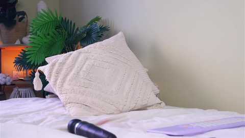 Media: A video of a cozy bedroom featuring a beige quilted throw pillow on a white bed, a green fern plant, a wicker basket, and a closed book on a nightstand with a lamp.