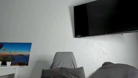 Media: Video of a minimalist bedroom with a large flat-screen TV mounted on the wall, a gray chair covered with a sheet, and a colorful landscape painting on a white side table.