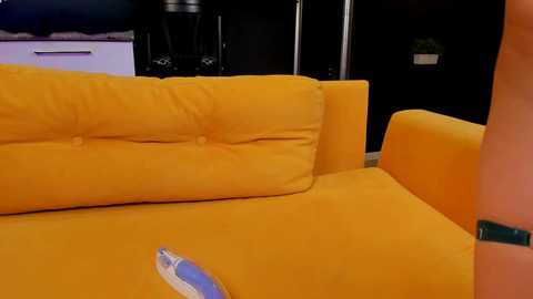 Media: Video of a modern living room with a bright yellow couch, a potted plant, and dark furniture. The couch has a plush texture, and there's a blue and white paper on the armrest.