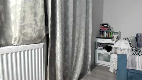 Media: Video of a modern, minimalist living room with grey curtains, a radiator, a blue sofa, and a white bookshelf with books and a folded blanket.