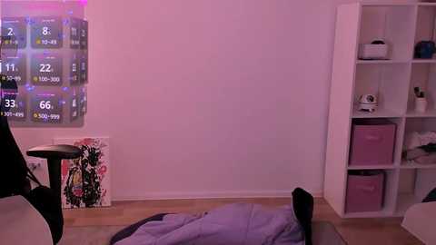 Media: Video of a minimalist bedroom with white walls, a black desk, a pink storage unit, a purple bed, and a vibrant wall calendar.