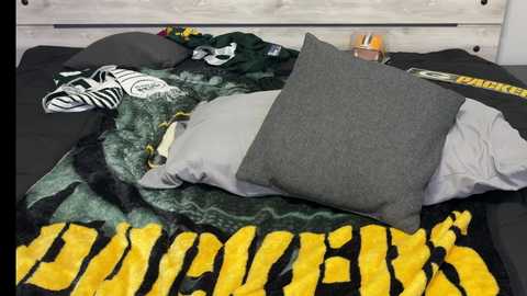 Media: Video of a bed with a green and black comforter featuring a zebra print, a gray pillow, a gray throw, and a Steelers blanket, showcasing a cozy, sports-themed bedroom.