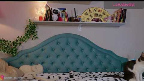 Media: Video of a cozy bedroom with a turquoise tufted headboard, white shelves adorned with books, cat toys, and a green ivy wall decoration.