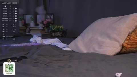 Media: Video of a messy bedroom with dark gray bedding, a white pillow, and scattered clothes. Background includes a nightstand with books and plants, dim lighting, and a \"Love\" sign.