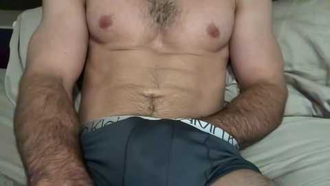 Media: Video of a shirtless, light-skinned man with a hairy chest, wearing grey boxer briefs with a white waistband, sitting on a bed with beige sheets, hands resting on his thighs.