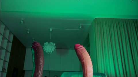 Media: Video of two erect penises, one large and circumcised, the other smaller, under green lighting, in a modern room with white walls, a chandelier, and curtains.