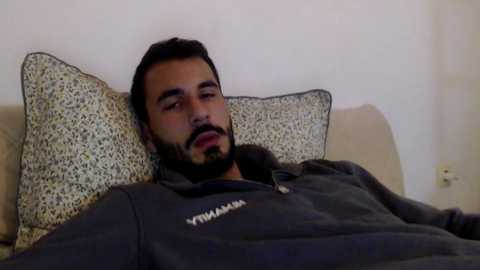 Media: Video of a bearded man with short dark hair, lying on a beige sofa with a patterned pillow, wearing a gray hoodie, looking relaxed.