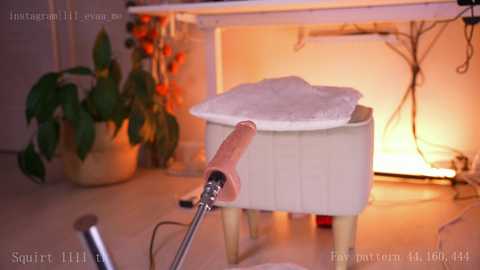 Media: Video of a white sewing machine with a wooden foot pedal, positioned on a wooden floor. Background includes a potted plant, a lit lamp, and a partially visible sewing table.