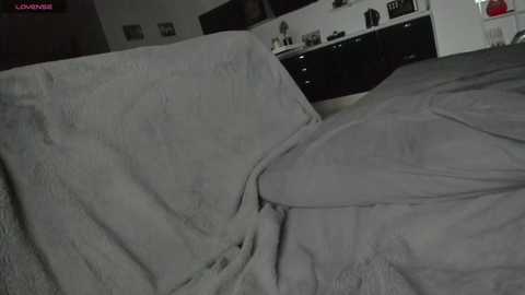 Media: Video of a dimly lit bedroom with a gray, fluffy blanket covering a bed, revealing a white duvet underneath. The background shows a wall-mounted TV, dark furniture, and a white ceiling with mounted lights. The scene appears cozy but slightly cluttered.