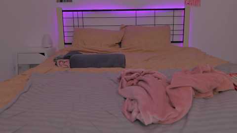 Media: Video of a minimalist bedroom with a bed covered in light beige sheets, a pink blanket, and a gray pillow. The headboard has a black metal frame. Soft purple lighting accentuates the room's modern decor.