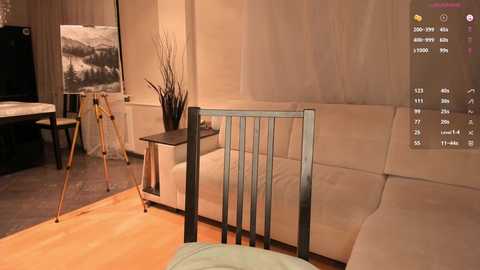 Media: Video of a modern, minimalist living room with beige walls, a cream sofa, a black baby crib, a wooden side table, and a black vase with tall sticks.