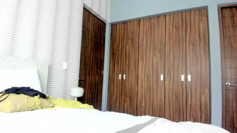 Media: Video of a modern bedroom with a white bed, light grey walls, and a large wooden wardrobe with vertical grain patterns. A white lamp sits on a bedside table.