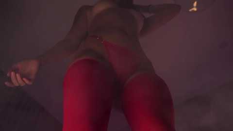 Media: Video of a woman in red lingerie, including a bra and high-waisted panties, with her legs spread. She has fair skin, and the background is dimly lit, focusing on her body's contours.