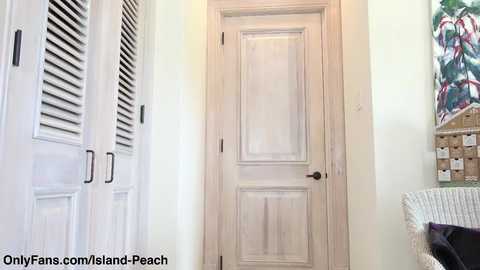 Media: Video of a rustic, white-washed wooden door with a dark brown handle, set in a light green wall. To the left, white plantation shutters with black handles.