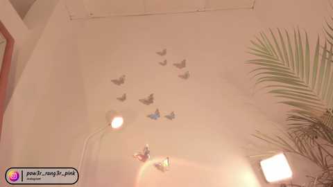 Media: A video of a beige wall adorned with a butterfly mural, featuring a green floor lamp, a potted plant, and a white ceiling light fixture.