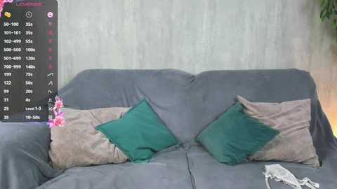 Media: Video of a gray sofa with green and beige pillows, partially covered by a black screen displaying a list of characters, set against a concrete wall.