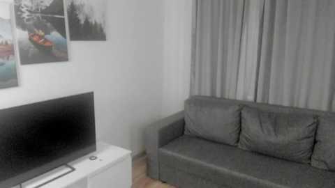 Media: A video of a minimalist living room featuring a gray sofa, a flat-screen TV on a white stand, and a gray curtain covering a window.