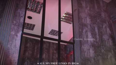 Media: Video of a dimly lit room with a large window framed by black metal bars. The window displays a reflection of a chessboard and a red light, with the text \"All My Free Links in Bio\" at the bottom.