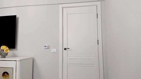 Media: Video of a minimalist, modern room with a white door, light gray wall, flat-screen TV, and a vase with yellow flowers on a white dresser.