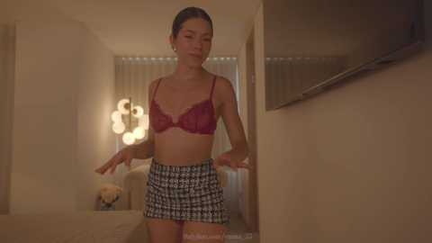 Media: Video of a slender Asian woman with light skin, wearing a red lace bra and black-and-white checkered mini skirt, standing in a dimly lit, beige-toned room with a lit vanity mirror and a flat-screen TV on the wall.