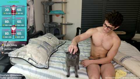 Media: Video of a shirtless, slender, light-skinned man with glasses and short brown hair petting a grey cat on a bed with striped bedding. Background includes a grey cat tower and dark blinds.