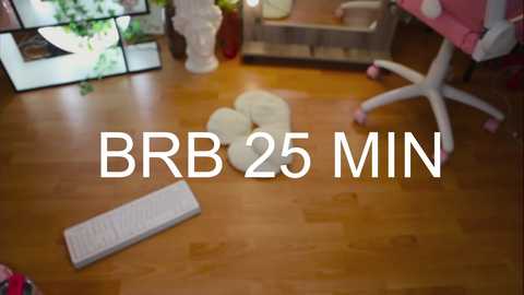 Video of a tidy wooden-floored room with a white keyboard, plush cat toys, and a pink ergonomic chair. Text overlays \"BBR 25 MIN\" in white.