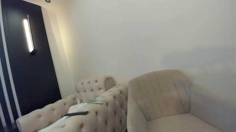 Media: Video of a minimalist room with beige, tufted armchairs and a dark door, featuring a sleek, vertical light fixture. The walls are plain white.