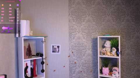 Video of a corner room with a white bookshelf holding toys and a small cat statue, against light grey damask wallpaper.