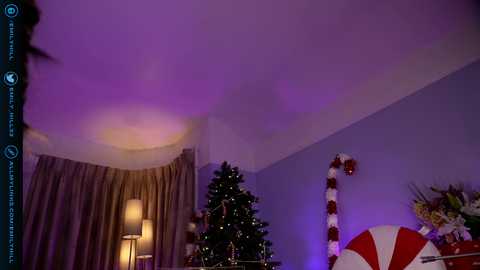 Media: Video of a festive, dimly lit room with a Christmas tree, a red-and-white striped candy cane, and a beige curtain.