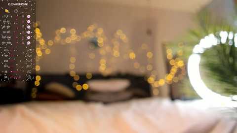 Media: A blurred, bokeh-affected photo of a cozy bedroom with soft yellow fairy lights, a round mirror, and a large potted plant.