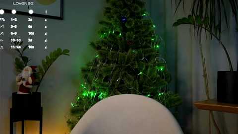 Video of a cozy indoor Christmas scene featuring a lit, green-tinted artificial Christmas tree with a white Santa doll on a black stand beside it.